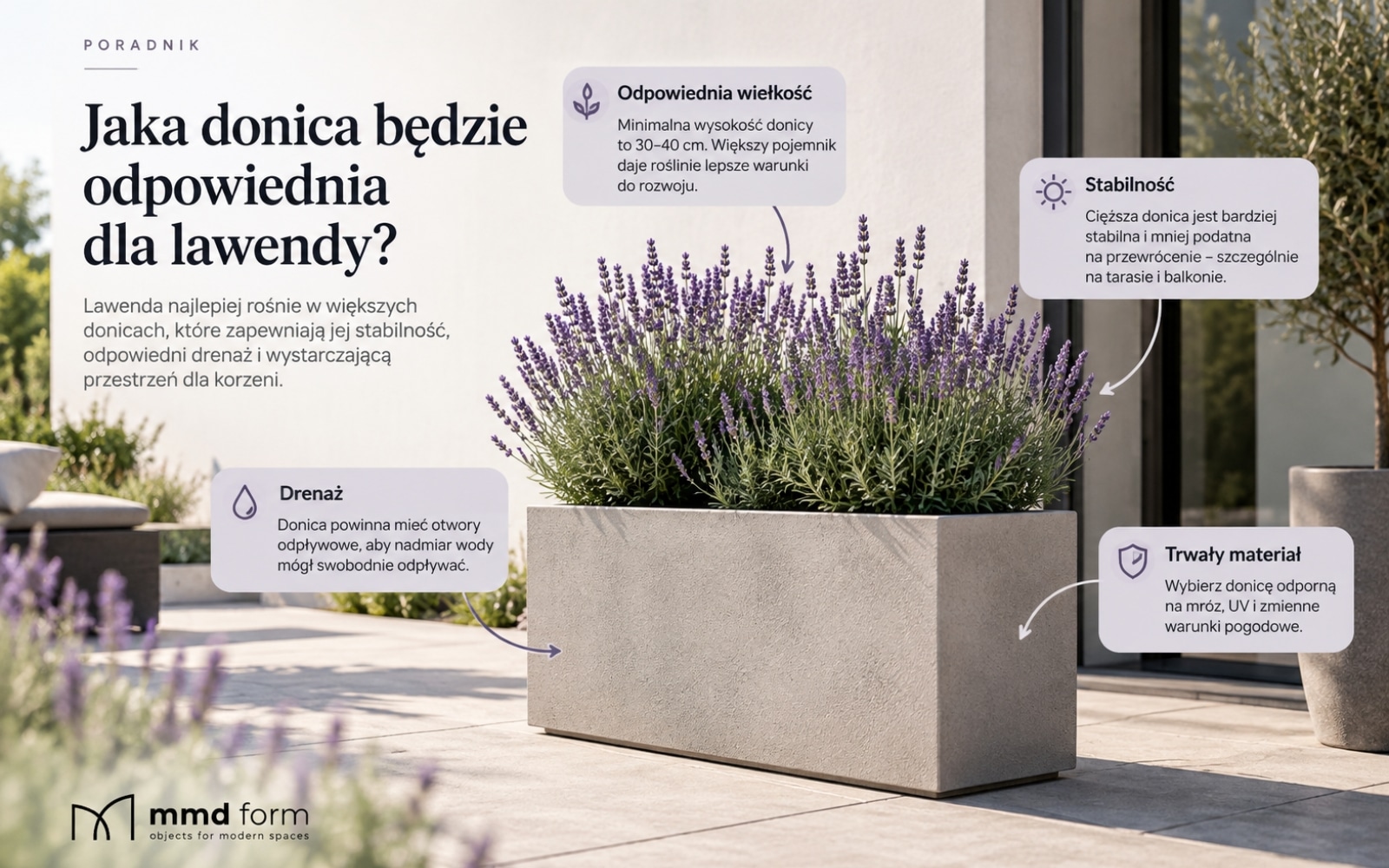 Duża donica z lawendą na tarasie – odpowiednia wielkość, drenaż i stabilność